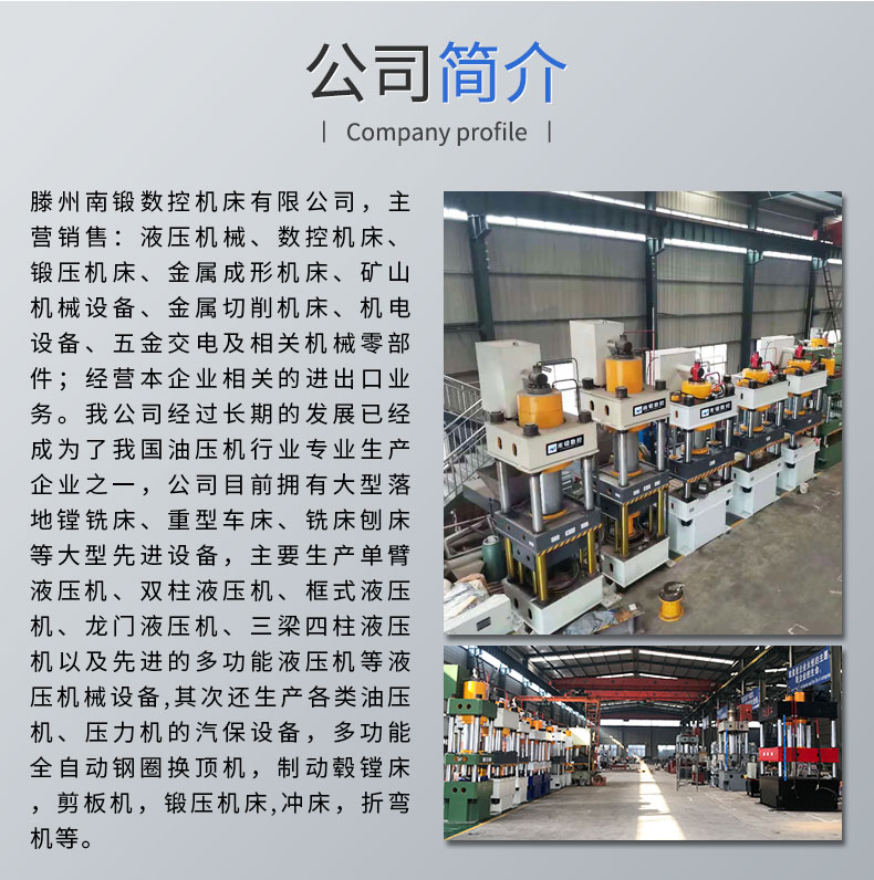 1200噸牛羊舔磚鹽磚機(jī) 全自動粉末成型液壓機(jī) 四柱油壓機(jī)